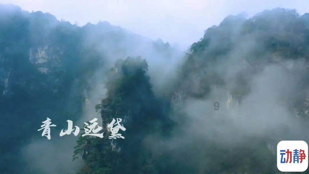 护发精油有什么适合学生党的，便宜好用的？游戏画面