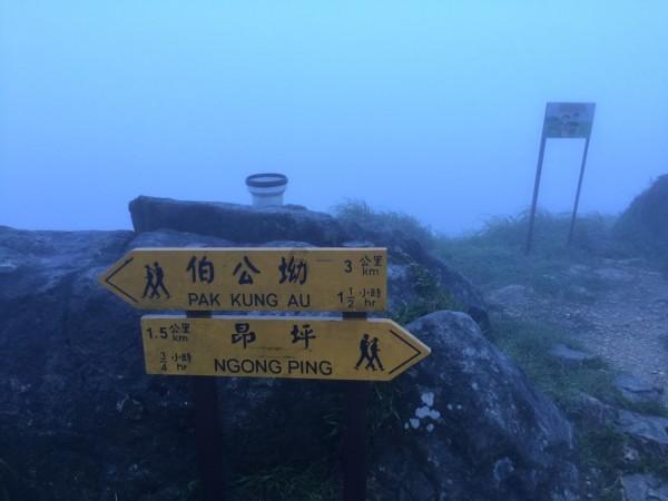 公司优秀员工个人事迹材料范文