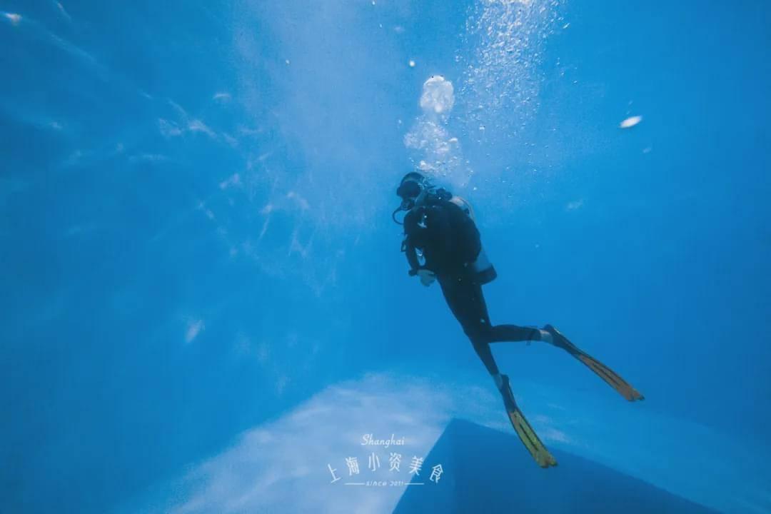 西安筷子伤人事件：医疗过度治疗的警示，呼吁回归医德与合理医疗