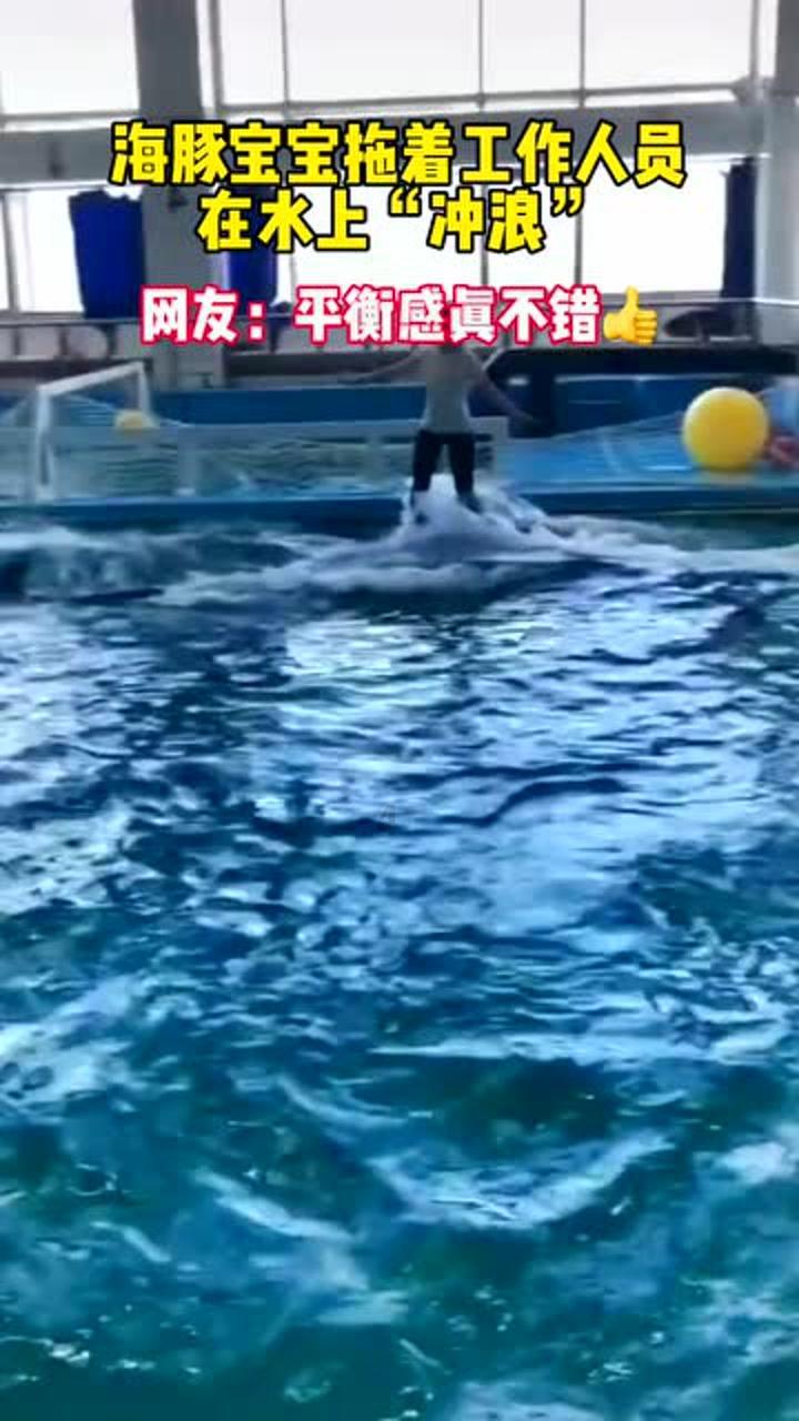 企鹅回城5之飞渡横木