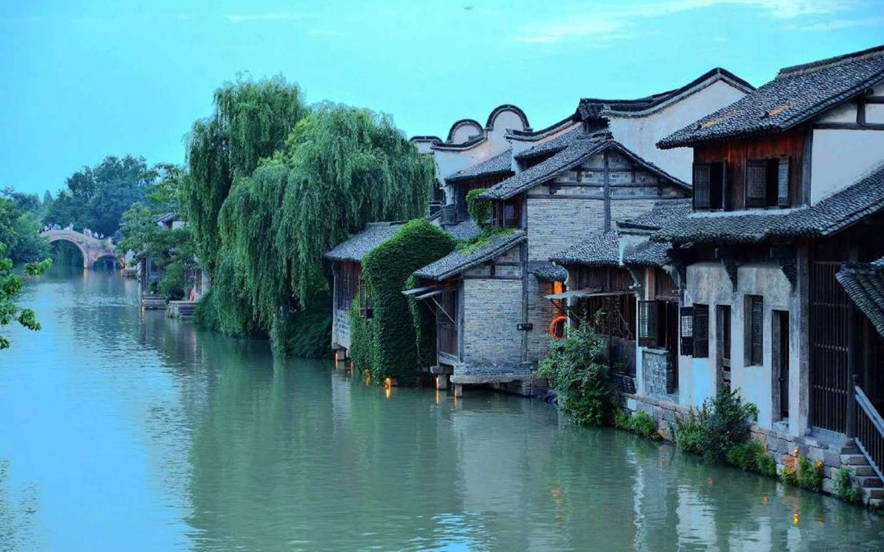 蓝色怪物救援